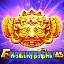 freiburg palpite